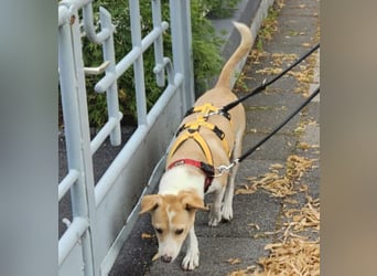 Lucy: ein Schatz für Jedermann