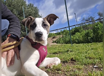 Nicolina: vom Parkplatz ins schöne Leben