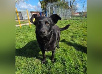 liebe, schüchterne Uwine