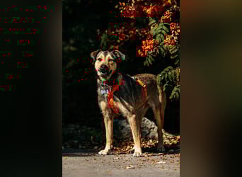 Fröhliche Bulotschka sucht ihre Familie