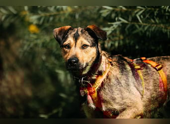 Fröhliche Bulotschka sucht ihre Familie