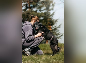 Fröhliche Bonja sucht ihre Menschen