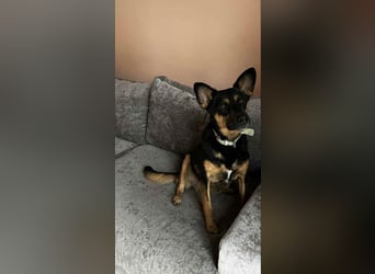 Wunderbare Michelle sucht ihre Familie