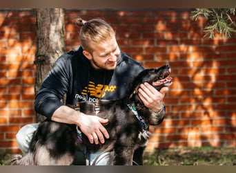Fröhliche Bonja sucht ihre Menschen