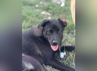 Yana, zarte Schönheit sucht ihre Menschen