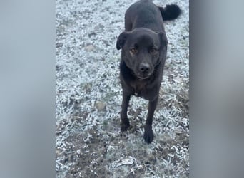 Yana, zarte Schönheit sucht ihre Menschen