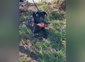 Yana, zarte Schönheit sucht ihre Menschen