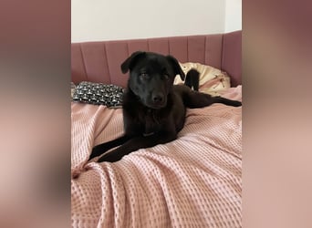 Yana, zarte Schönheit sucht ihre Menschen