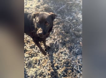 Yana, zarte Schönheit sucht ihre Menschen