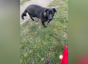 Yana, zarte Schönheit sucht ihre Menschen