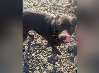 Yana, zarte Schönheit sucht ihre Menschen