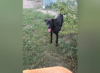 Yana, zarte Schönheit sucht ihre Menschen