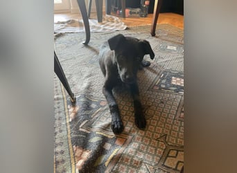 Yana, zarte Schönheit sucht ihre Menschen