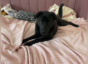 Yana, zarte Schönheit sucht ihre Menschen