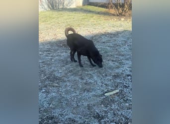 Yana, zarte Schönheit sucht ihre Menschen