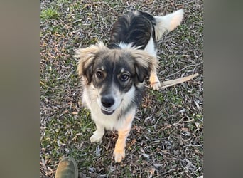 Max sucht erfahrenes zu Hause