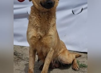 ROSIE-hr feines Wesen lässt sie strahlen und macht sie zu etwas ganz Besonderem