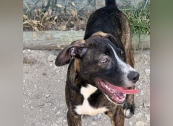 KAYO-kleiner Sonnenschein sucht sein Glück