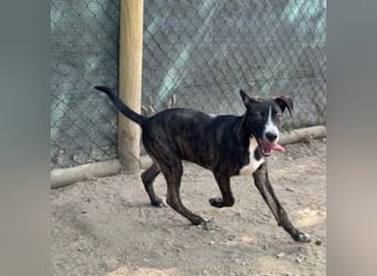 KAYO-kleiner Sonnenschein sucht sein Glück