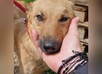 ROSIE-hr feines Wesen lässt sie strahlen und macht sie zu etwas ganz Besonderem