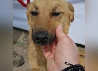 ROSIE-hr feines Wesen lässt sie strahlen und macht sie zu etwas ganz Besonderem