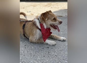 JIMMY-fröhlich, freundlicher Bub, kennt den Alltag in einer Familie