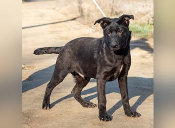 Filip, junger Möchtegern spielt für sein Leben gern