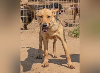 Beka, am Anfang etwas schüchtern, dann mit vollem Herzen dabei