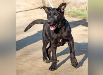 Filip, junger Möchtegern spielt für sein Leben gern