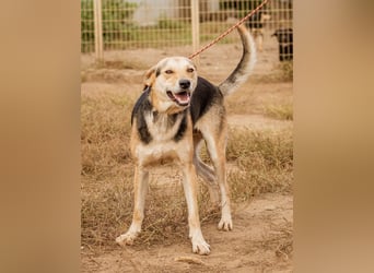 Fitos, der Gute-Laune-Bär wünscht sich eine aktive Familie
