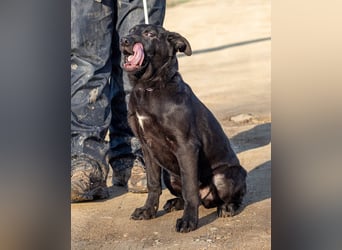 Filip, junger Möchtegern spielt für sein Leben gern