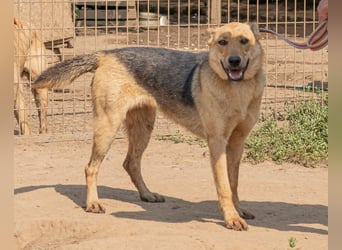 Beka, am Anfang etwas schüchtern, dann mit vollem Herzen dabei