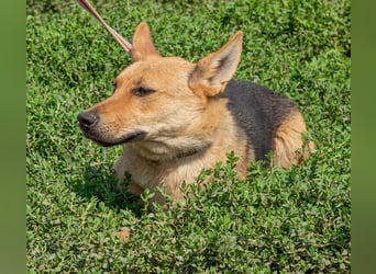 Beka, am Anfang etwas schüchtern, dann mit vollem Herzen dabei