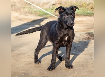 Filip, junger Möchtegern spielt für sein Leben gern