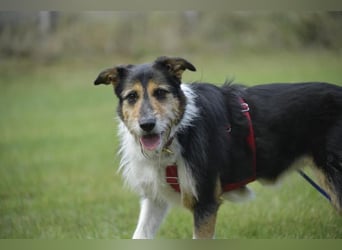 Frieda, ein Flumi auf vier Pfoten