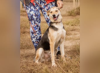 Fitos, der Gute-Laune-Bär wünscht sich eine aktive Familie