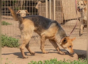 Beka, am Anfang etwas schüchtern, dann mit vollem Herzen dabei