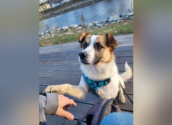 Phoenix, aus der Hölle entkommen, sucht nun seinen Himmel auf Erden