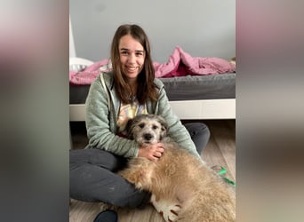 Süße Titza sucht ihr eigenes Körbchen