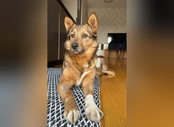 Auch Ema ist der Hölle entkommen und braucht dringend eine liebe Familie