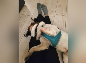 Phoenix, aus der Hölle entkommen, sucht nun seinen Himmel auf Erden