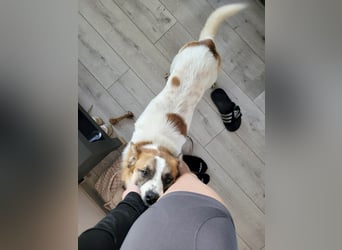 Phoenix, aus der Hölle entkommen, sucht nun seinen Himmel auf Erden