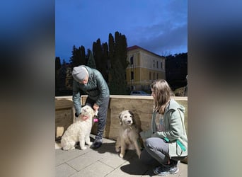 Süße Titza sucht ihr eigenes Körbchen