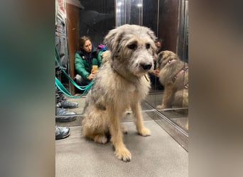 Süße Titza sucht ihr eigenes Körbchen