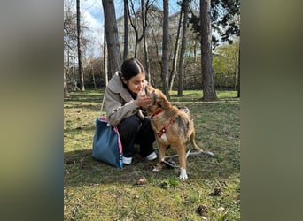 Auch Ema ist der Hölle entkommen und braucht dringend eine liebe Familie