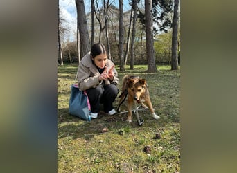 Auch Ema ist der Hölle entkommen und braucht dringend eine liebe Familie