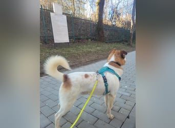 Phoenix, aus der Hölle entkommen, sucht nun seinen Himmel auf Erden