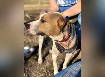 Der schöne Timo hat ein schlimmes Schicksal !