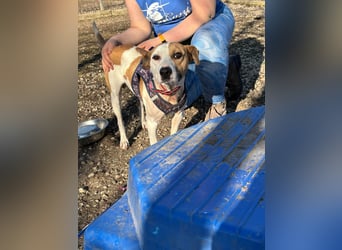 Der schöne Timo hat ein schlimmes Schicksal !