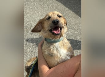 Plusz und Minusz, 2 Brüder, die gerne gemeinsam weiter durch das Leben gehen würden.